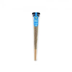 Pré-roll Amnesia - ROLL UP
