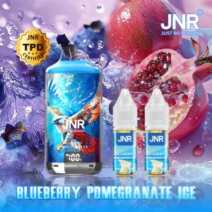 Blueberry Pomegranate Ice 28000 puffs - FALCON-X JNR