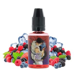 Concentré Seiryuto - Fighter Fuel