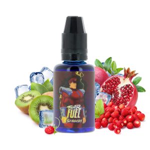 Concentré Shigeri - Fighter Fuel