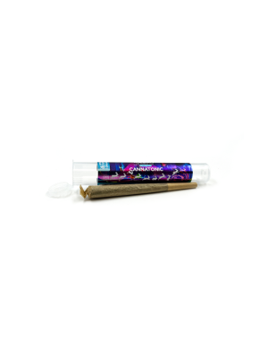 Pré-Roll CBD Cannatonic - WHITE RABBIT