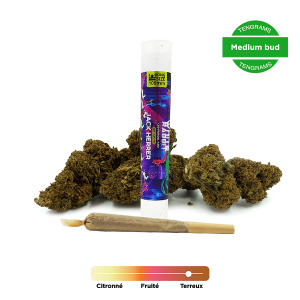 Pré-Roll CBD Jack Herrer - WHITE RABBIT