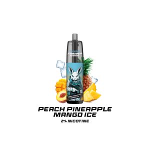 Puff 15000 RandM Tornado X WR Rechargeable - Peach Pineapple Mango Ice - 20mg