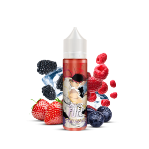 Seiryuto 50ml Fighter Fuel