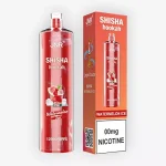 Shisha Hookah Watermelon Ice - JNR