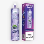 Shisha Hookah Blueberry Mint - JNR