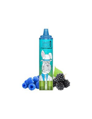 RandM Tornado 15000 X WR - Blue Sour Raspberry sans nicotine