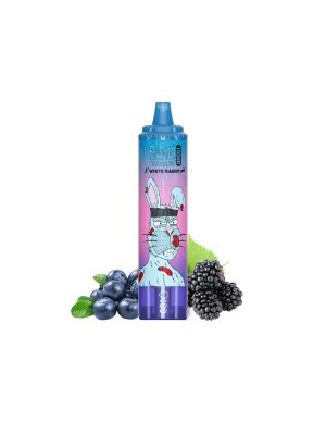 RandM Tornado 15000 X WR - Blueberry Raspberry sans nicotine